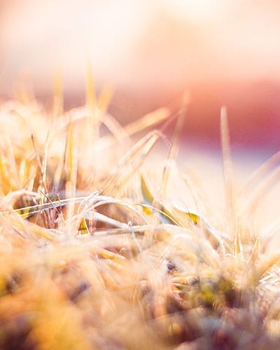 img-social-responsibility