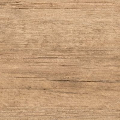 BOLOGNA NATURAL ONE FACE 300X600