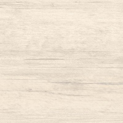 BOLOGNA WHITE ONE FACE 300X600