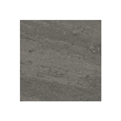 450 x 450
