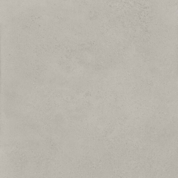 Evolution Gris